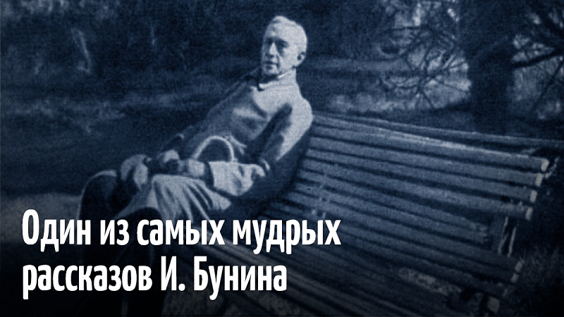 Молодость и старость сидели на скамейке