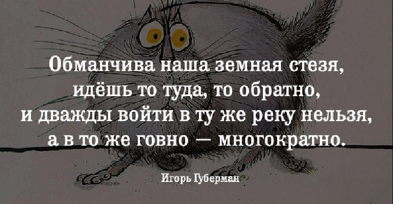 Обманчивый. Обманчива наша земная стезя Игорь Губерман. Хлесткие гарики Игоря Губермана. Игорь Губерман обманчива наша земная. Обманчива наша земная стезя идешь то туда то обратно и дважды.