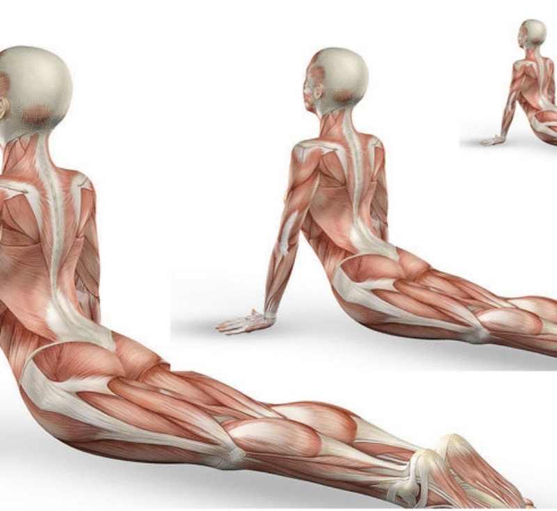 Упражнения для женщин 40+, которые продлят молодость — Лаванда