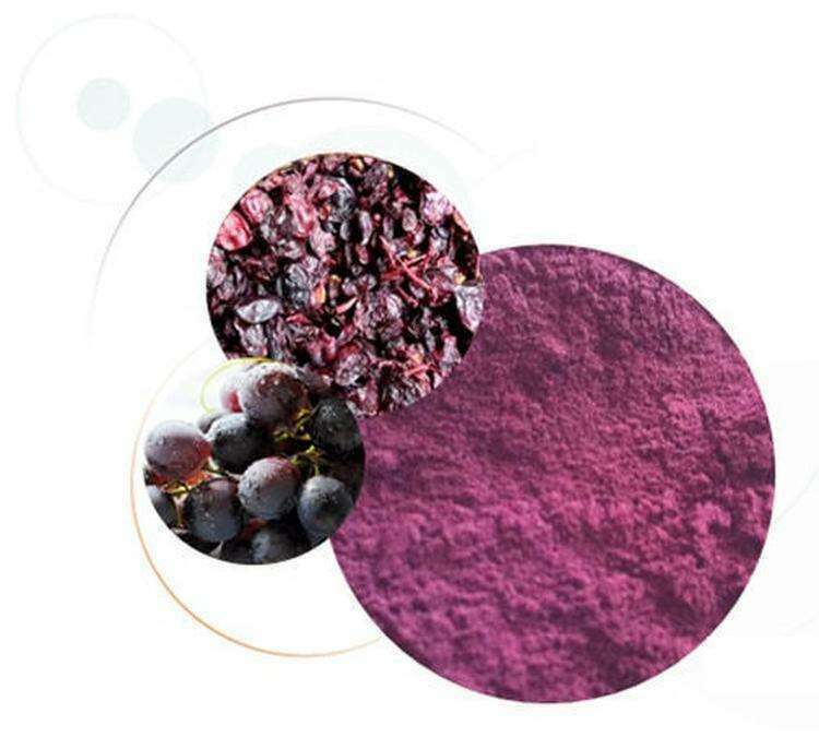 Накопление водорастворимых пигментов антоцианов. Черный виноград замедляет процесс старения.