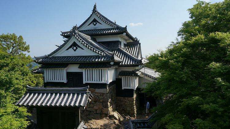 Замок Битчу Мацуяма (замок Такахаси)